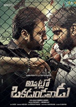 Appatlo Okadundevadu (2016) DVDScr Telugu Full Movies Watch Online Free Download