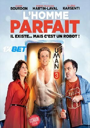 LHomme parfait (2022) 720p WEB-HD [Hindi (Voice Over) + English]